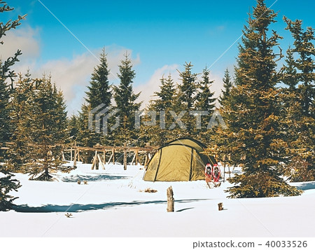 Trekking tent, poles, red  snowshoes on snow 40033526
