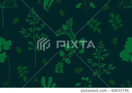 Summer herbs carpet.  40033746