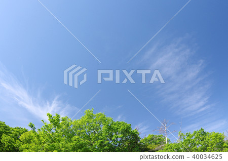 New green and blue sky (background material) 40034625