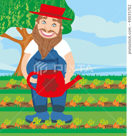 man watering a carrot in the garden man watering a carrot in the garden 40035762