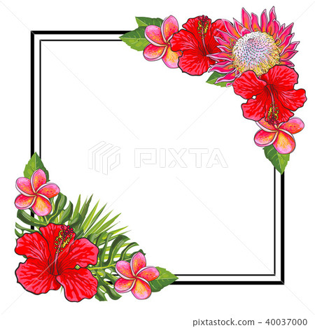 Tropical flowers bouquet elements at corners of square shape with copy space. 40037000