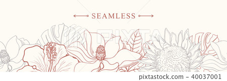 Tropical flowers border seamless pattern in sketch style on white background. Tropical flowers border seamless pattern in sketch style on white background. 40037001