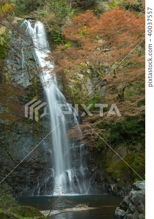 Fall, Minoh Otaki Fall, Minoh Otaki 40037557