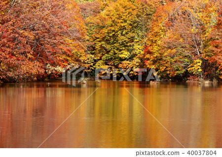 Kurazawanuma (back fence, Kitashiobara village) 40037804