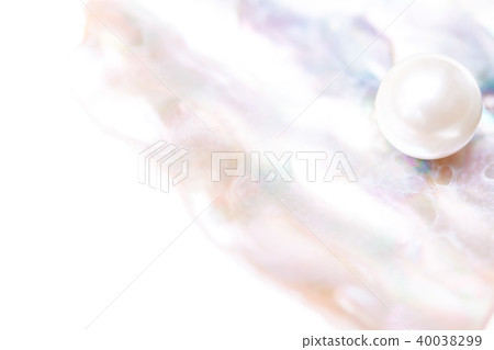 貝殼貝殼珍珠 40038299