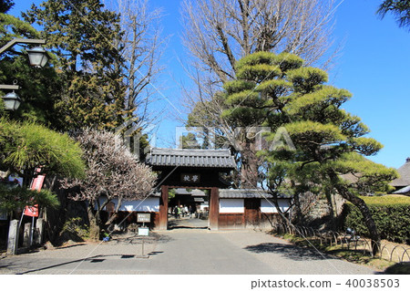 Shimonono Ashikaga學校(校門) Shimonono Ashikaga學校(校門) 40038503