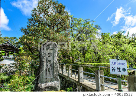 谷自然寺京都龜岡 谷自然寺京都龜岡 40038532