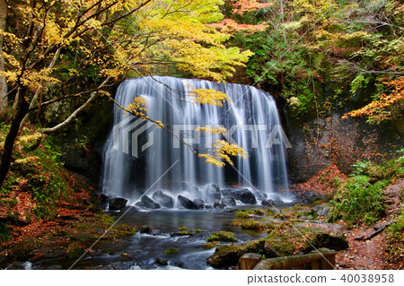 Tatsusawa Fudo Waterfall (Fukushima Prefecture, Inawashiro Town) in Autumn 40038958
