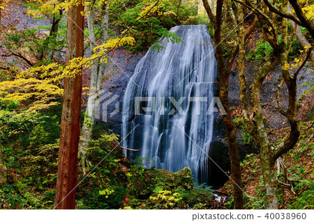 Tatsusawa Fudo Waterfall (Fukushima Prefecture, Inawashiro Town) in Autumn 40038960