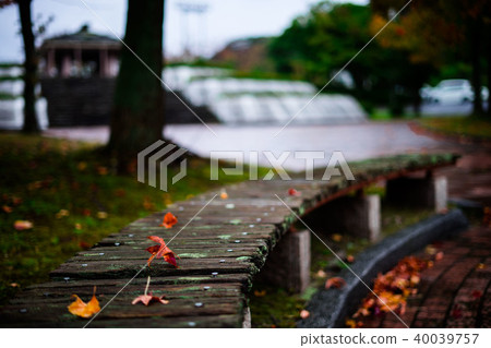 對馬綠園秋葉 對馬綠園秋葉 40039757