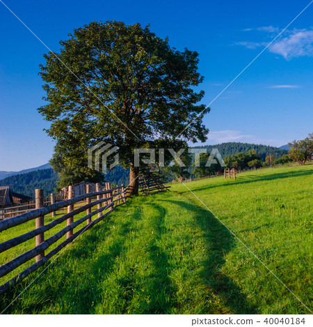 Beautiful sunny day is in mountain Beautiful sunny day is in mountain 40040184