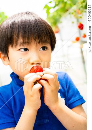 草莓採摘（兒童嬰幼兒女性草莓草莓草莓水果水果休閒黑膠屋甜點） 40040915