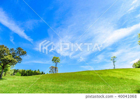 Fresh green park blue sky 40041068