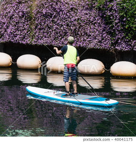 查看從站立槳板的花 40041175