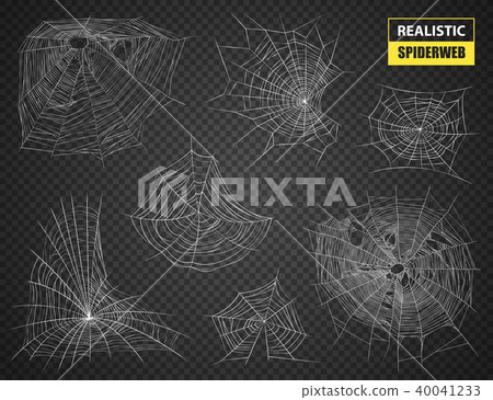 Realistic Spiderweb Transparent Set 40041233