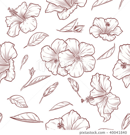 Vector hand drawn hibiscus seamless pattern - Stock Illustration ...