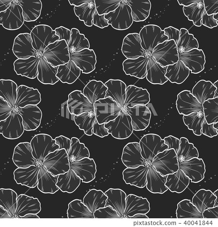 Vector hand drawn hibiscus seamless pattern 40041844