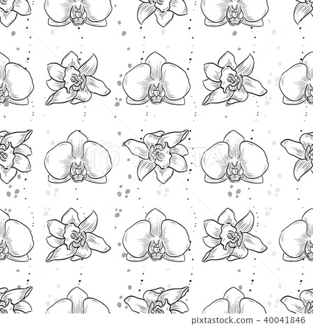 Vector hand drawn orchid seamless pattern Vector hand drawn orchid seamless pattern 40041846