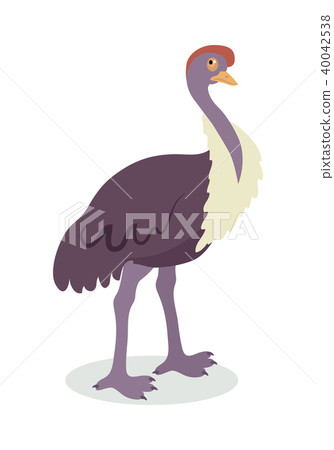 Ostrich Cartoon Flat Vector Illustration 40042538