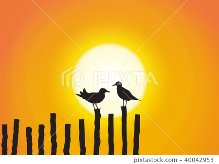 Silhouette of two seagull during sunset 40042953