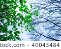Natural opposition 40043484