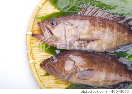 Mahata ingredients 40043693