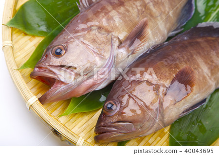 Mahata ingredients 40043695