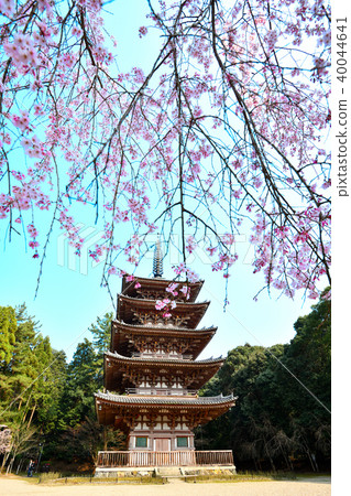 禪寺的春天 禪寺的春天 40044641