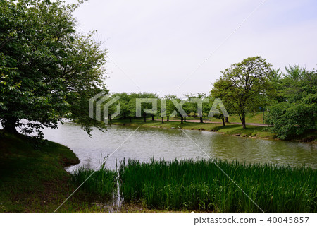 新鮮的綠色公園 新鮮的綠色公園 40045857