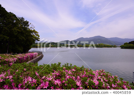 新鮮的綠色公園 新鮮的綠色公園 40045859