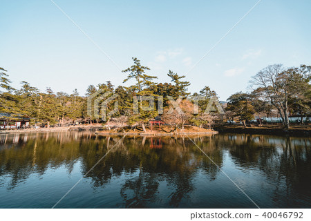 Todaiji Temple, deer, kyoto Todaiji Temple, deer, kyoto 40046792