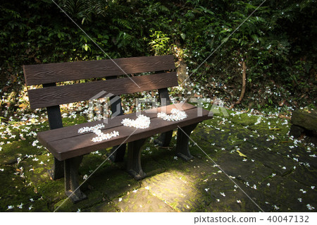 Ayuhana Kaki-Chotensu-ji寺，提供omon，輕便的旅行，風景 40047132