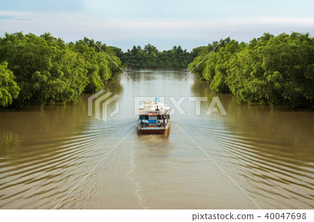 Passenger boats are sailing in rivers Passenger boats are sailing in rivers 40047698