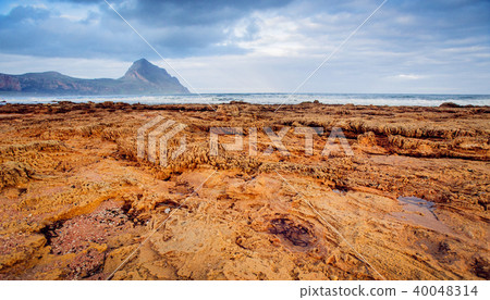 coral and the sand on the beach 40048314