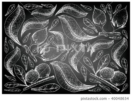 Aboirana FruitsAsian Bulletwood Fruits Chalkboard 40048634