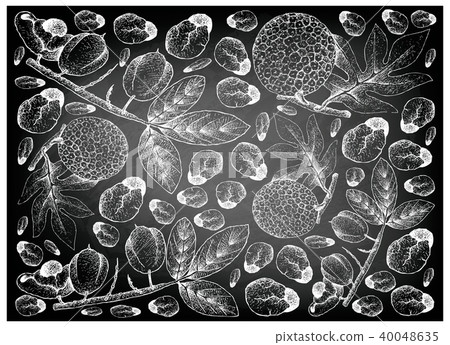 Ackee Fruits and Breadfruit on Chalkboard 40048635