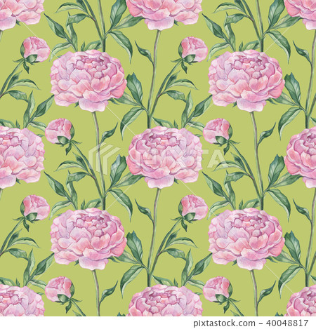 Hand Drawn seamless pattern of Peonies - Stock Illustration [40048817 ...