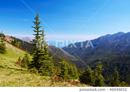 Hurricane Ridge Hurricane Ridge 40049032