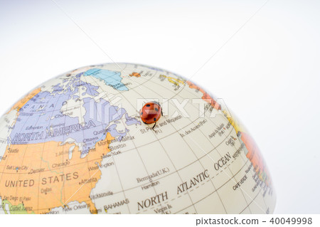 Ladybug on a little colorful model globe Ladybug on a little colorful model globe 40049998