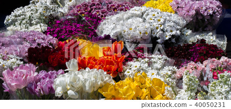 Fresh colorful Flowers put in vases Fresh colorful Flowers put in vases 40050231