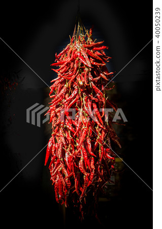Bundles of red peppers dry in the sun Bundles of red peppers dry in the sun 40050239