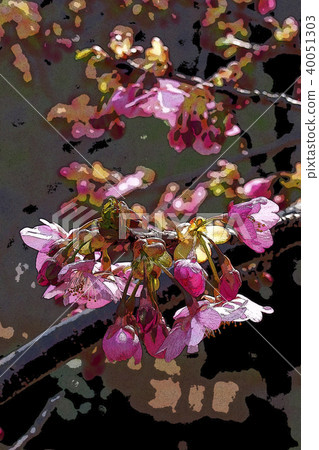 Kawazu cherry tree 40051303
