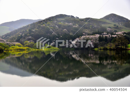 Spring of the beanie 2 Spring of the beanie 2 40054504