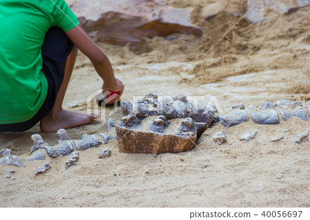 Children learning about, dinosaur fossils Children learning about, dinosaur fossils 40056697