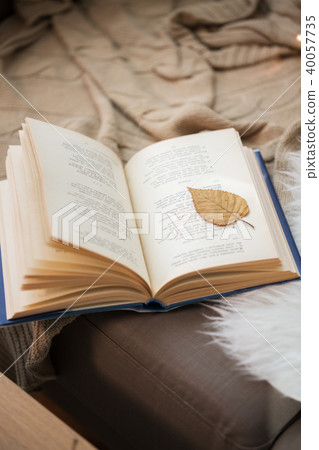 book with autumn leaf on page on sofa at home 40057735