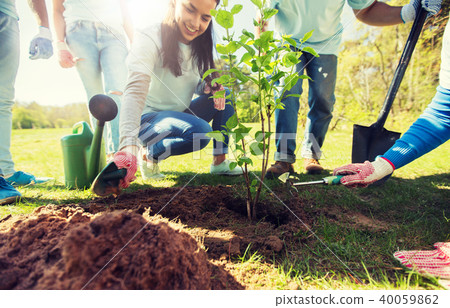 group of volunteers hands planting tree in park group of volunteers hands planting tree in park 40059862