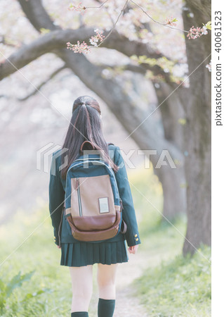 high school student, cherry blossom, girl 40061523