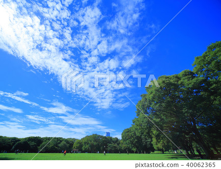 代代木公園 代代木公園 40062365