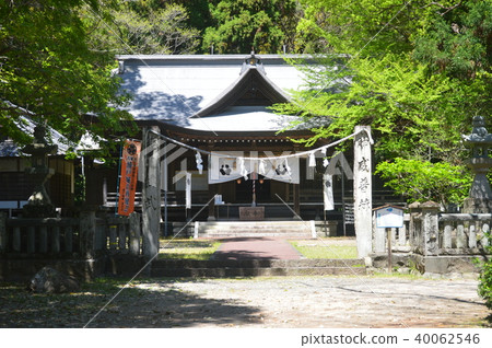 柏市(Kochi市長Hama,Kochi) 柏市(Kochi市長Hama,Kochi) 40062546