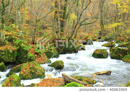 秋天Oirase山流 40063069